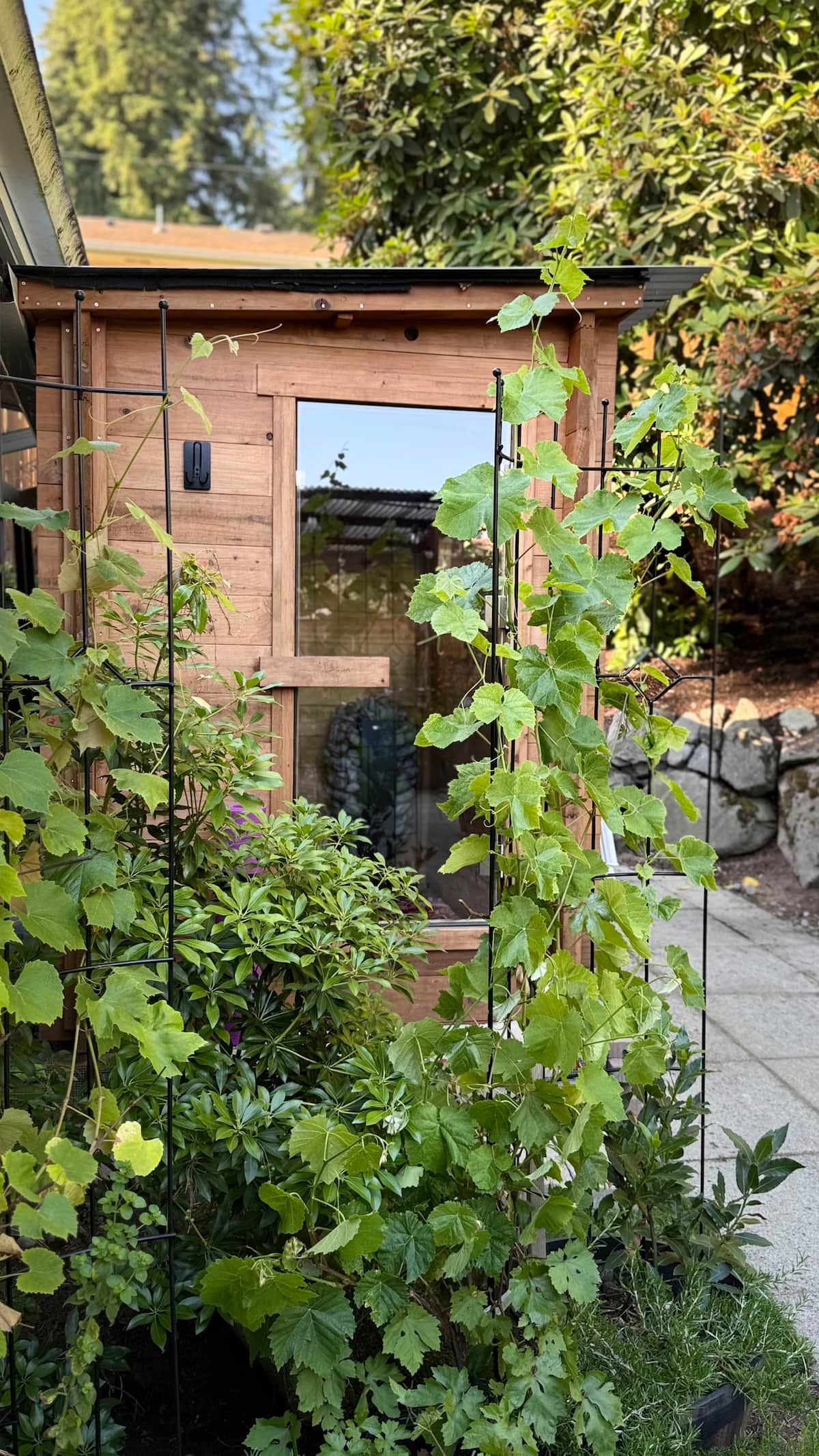 Outdoor cedar sauna surrounded by the garden
